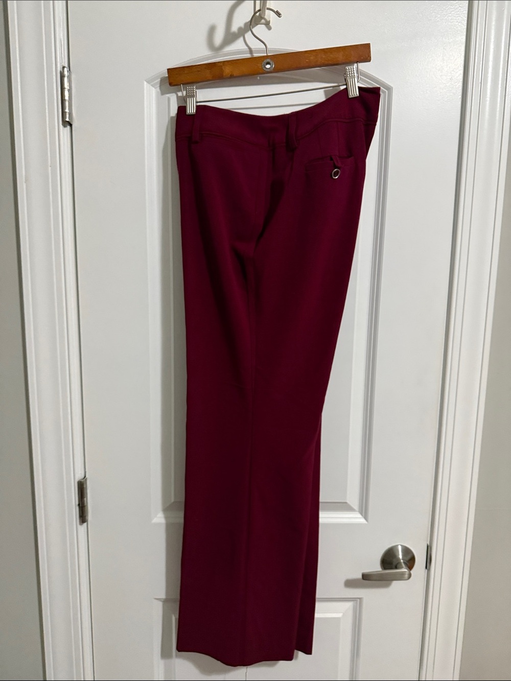 Larry Levine Men's Burgundy Dress Pants